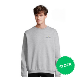 Lot de 2 Sweats Homme Spider-11350 ATALIAN