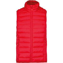 Bodywarmer Homme Doudoune L&eacute;g&egrave;re Paris