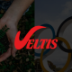 image montrant le logo des jo et une personnes tenant une plante dans les mains. On y voit également le logo Veltis